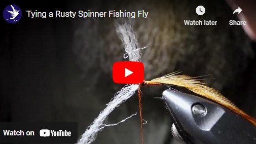 Tying a Rusty Spinner Fishing Fly